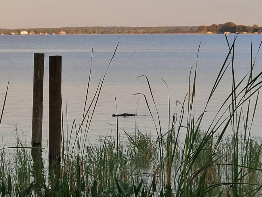 Camp St. Cabanas Unit 2 On Lake Dora タバレス エクステリア 写真