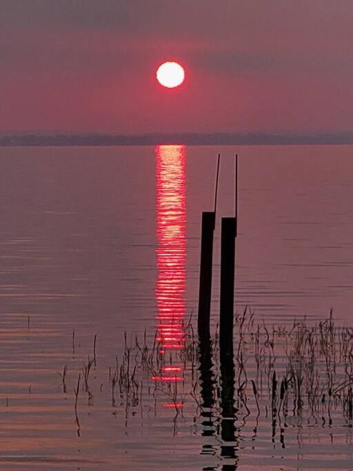 Camp St. Cabanas Unit 2 On Lake Dora タバレス エクステリア 写真